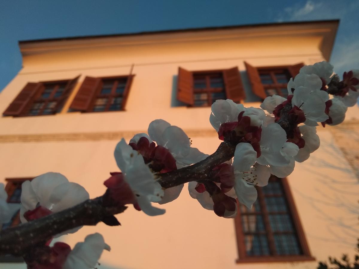 Archontiko Kantartzi بورتاريا المظهر الخارجي الصورة