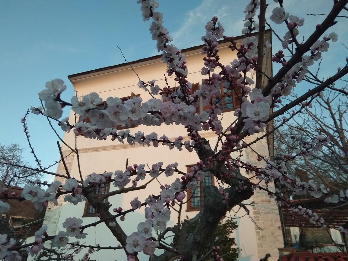 Archontiko Kantartzi بورتاريا المظهر الخارجي الصورة