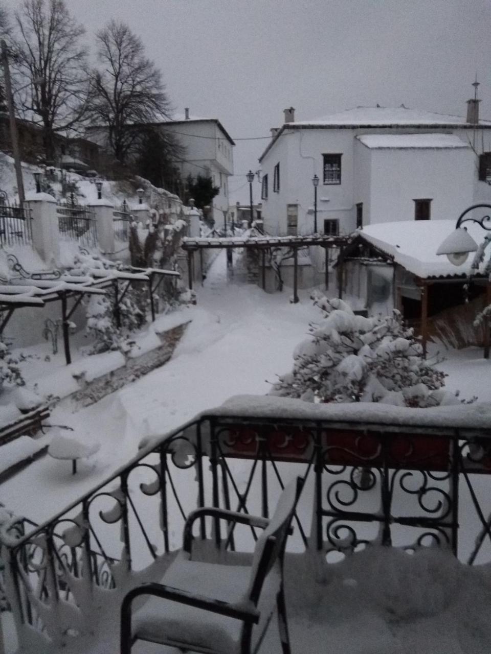 Archontiko Kantartzi بورتاريا المظهر الخارجي الصورة